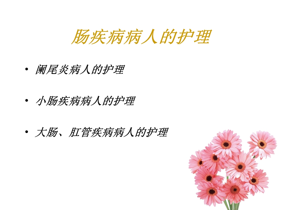 《阑尾炎病人的护理》PPT课件.ppt_第1页