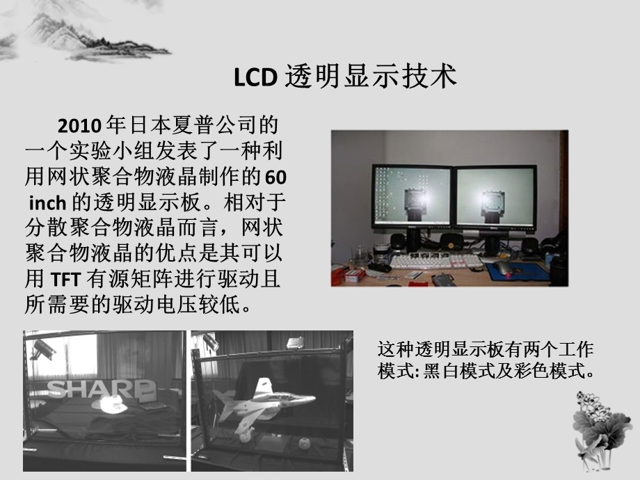 《透明显示技术》PPT课件.ppt_第3页