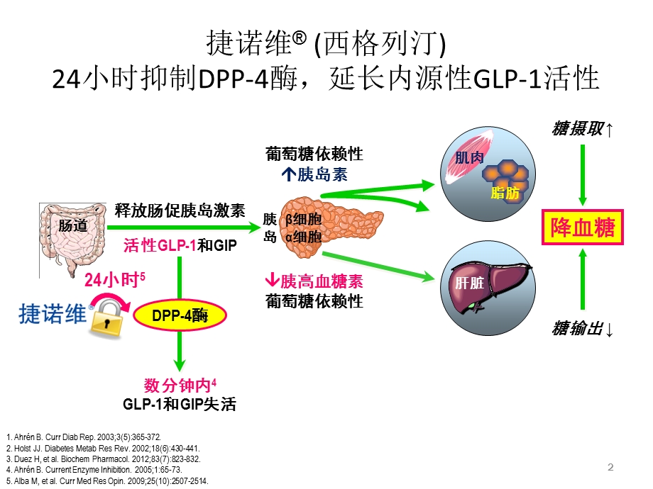 《默沙东西格列汀》PPT课件.ppt_第2页