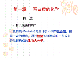 《蛋白质和氨基酸》PPT课件.ppt