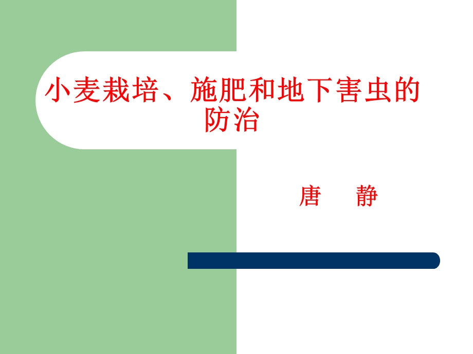 《小麦栽培管理》PPT课件.ppt_第1页