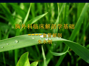 《食管的解剖》PPT课件.ppt