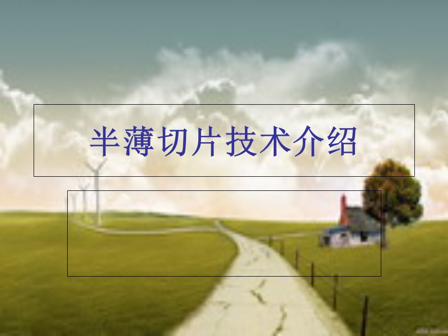 《半薄切片技术介绍》PPT课件.ppt_第1页