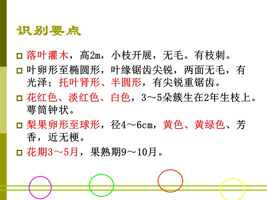 《蔷薇科植物分类》PPT课件.ppt_第3页