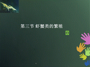 《虾蟹类的繁殖》PPT课件.ppt