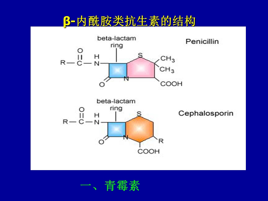 《青霉素及头孢》PPT课件.ppt_第2页