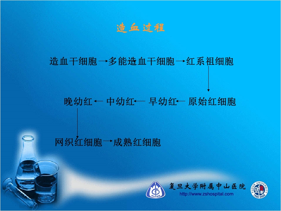 《贫血的诊断思路》PPT课件.ppt_第3页