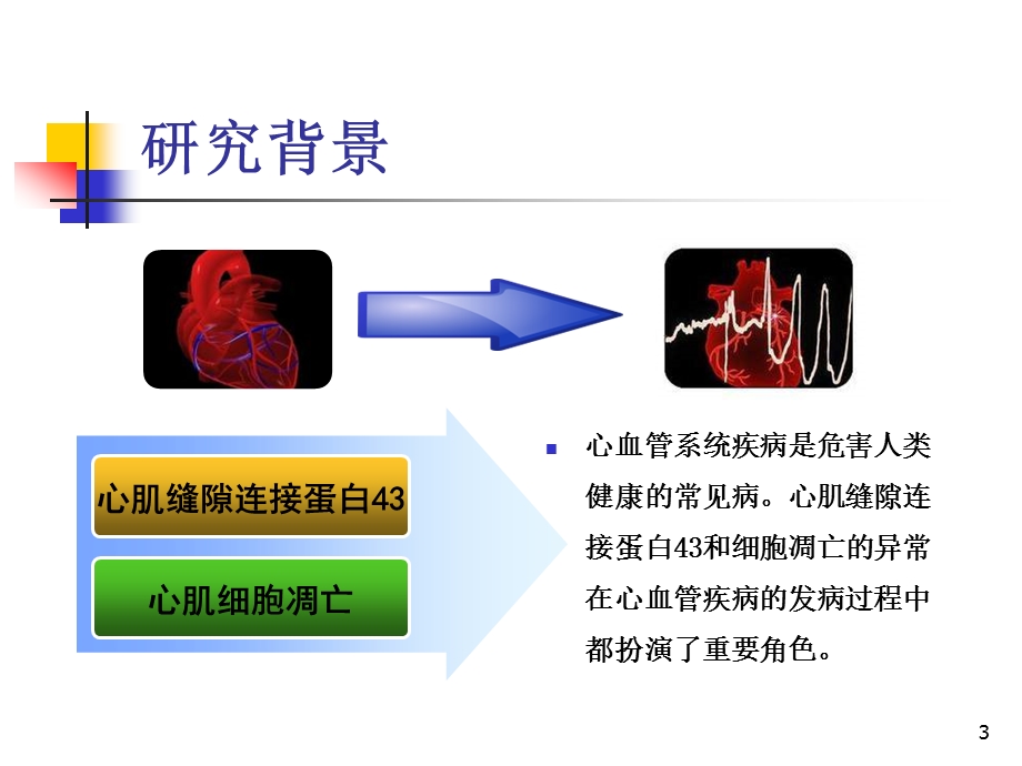 益气活血药对心肌组织及H9C2细胞Cx43表达和凋亡的影响.ppt_第3页