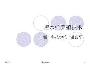 《黑水虻养殖技术》PPT课件.ppt