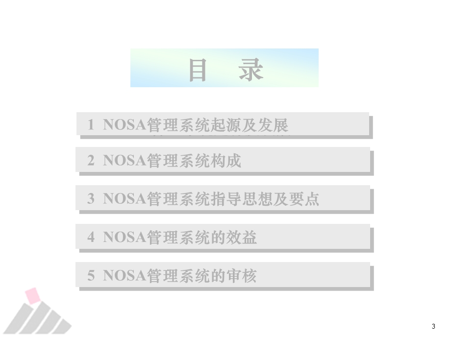 《NOSA实践培训》PPT课件.ppt_第3页