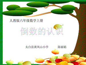 《倒数的认识微》PPT课件.ppt