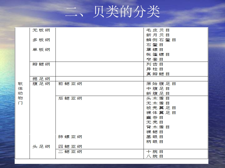 《贝类的主要特性》PPT课件.ppt_第3页