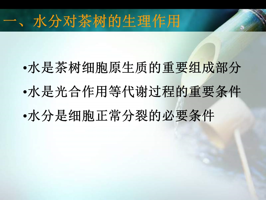 项目六 茶园水分管理.ppt_第3页