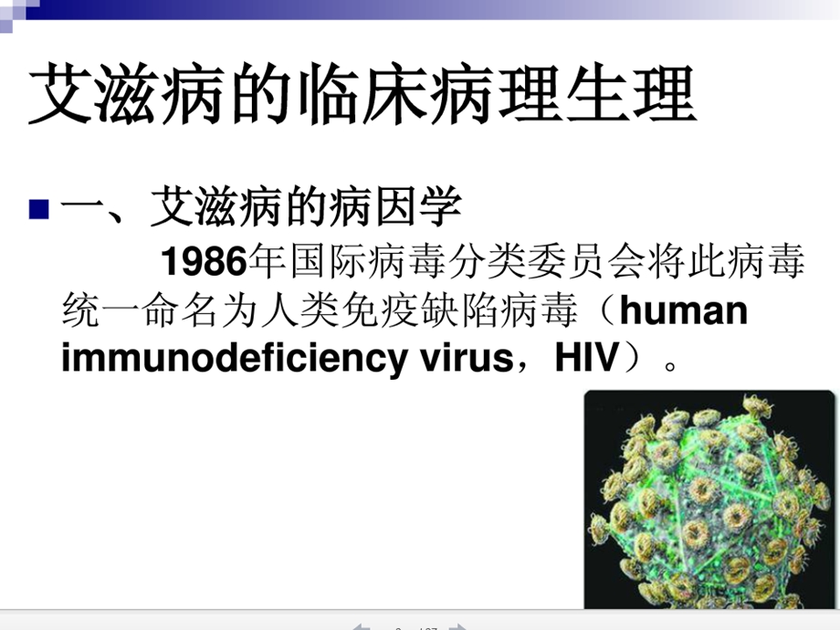 《艾滋病人麻醉》PPT课件.ppt_第2页