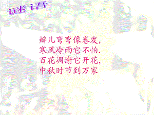 《菊花儿童画刮画》PPT课件.ppt