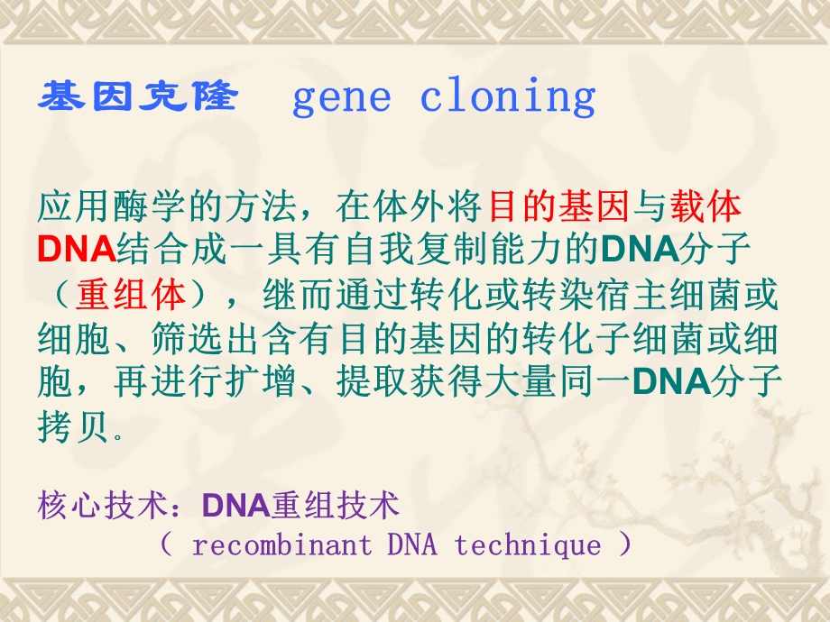 《重组质粒构建》PPT课件.ppt_第2页