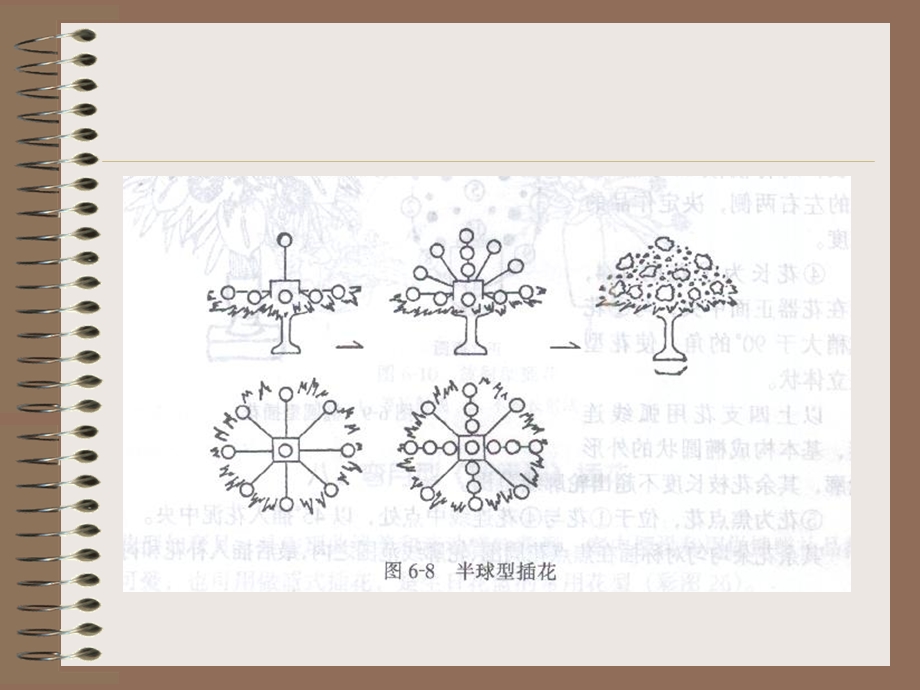 《西方插花艺术》PPT课件.ppt_第3页