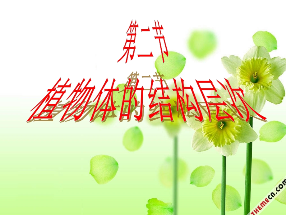 《植物体的结构层次》PPT课件.ppt_第1页