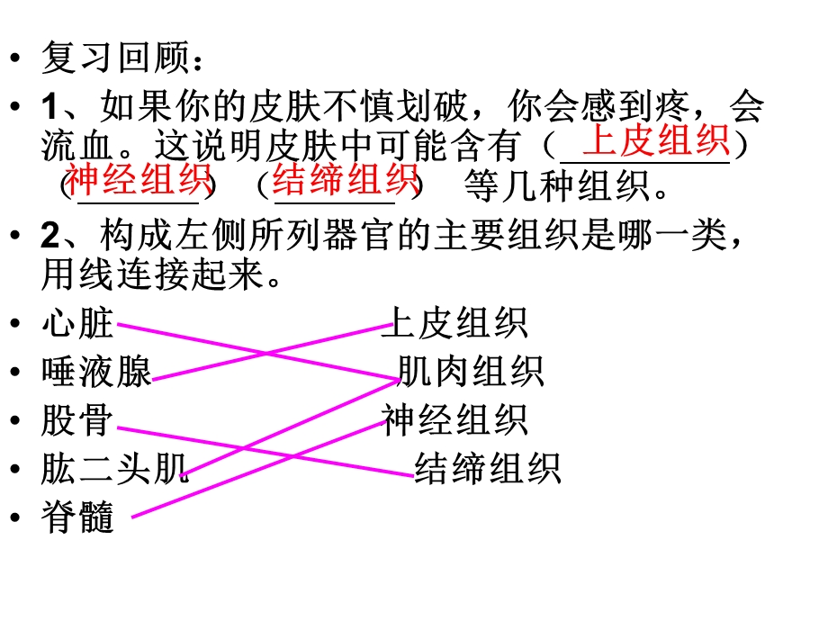 《植物体的结构层次》PPT课件.ppt_第2页