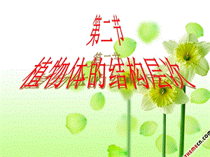 《植物体的结构层次》PPT课件.ppt