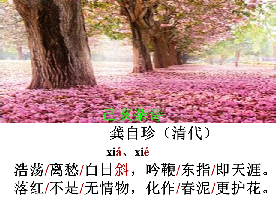 《己亥杂诗》PPT课件.ppt_第3页