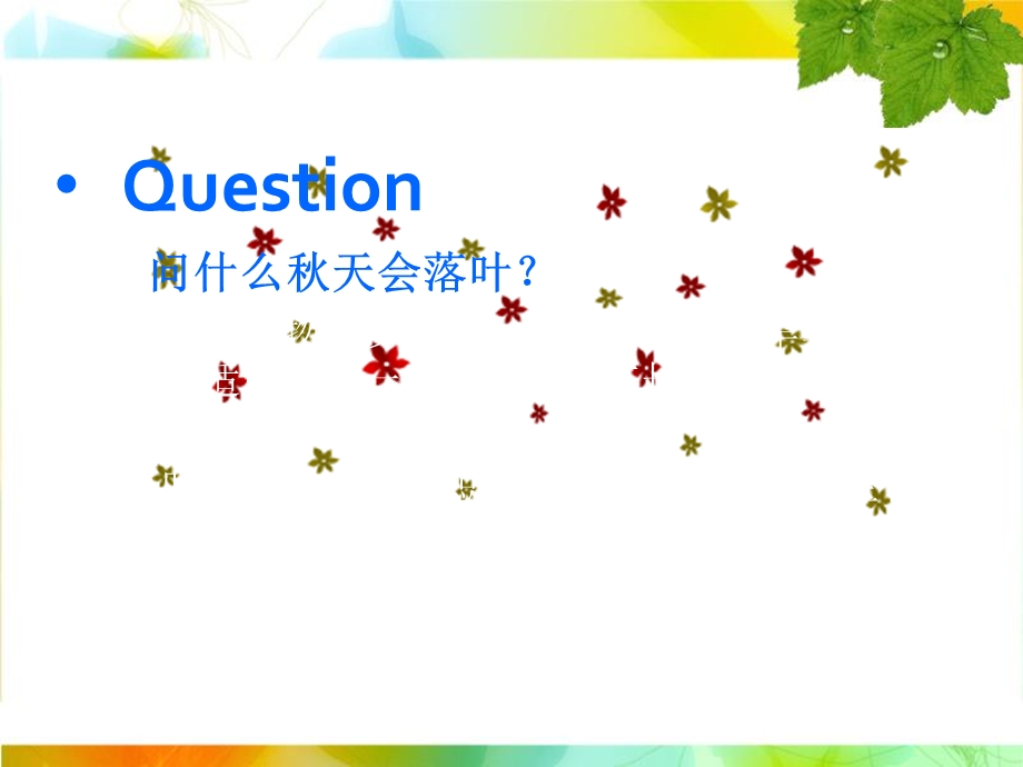 《落叶乔木》PPT课件.ppt_第2页