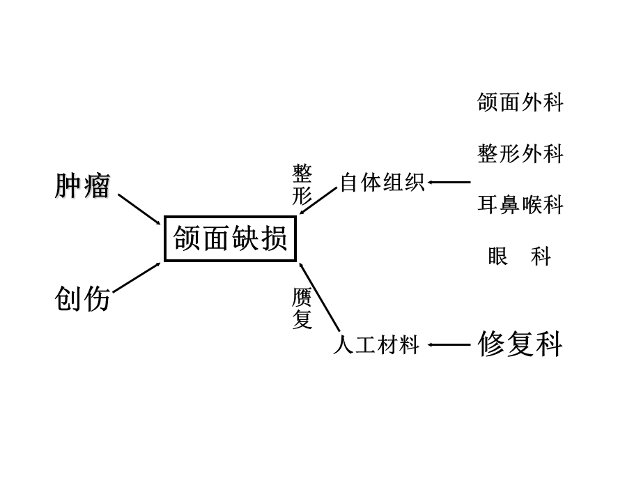 《颌面缺损修复》PPT课件.ppt_第3页