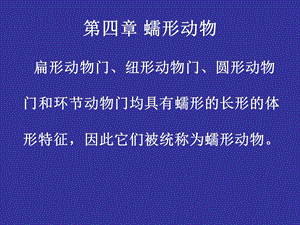 《蠕形动物》PPT课件.ppt