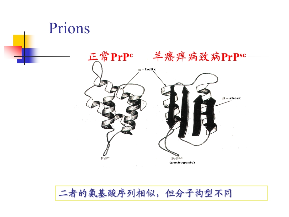 朊粒Prions.ppt_第3页