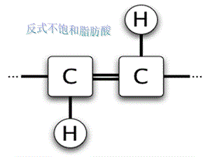 反式不饱和脂肪酸2.ppt