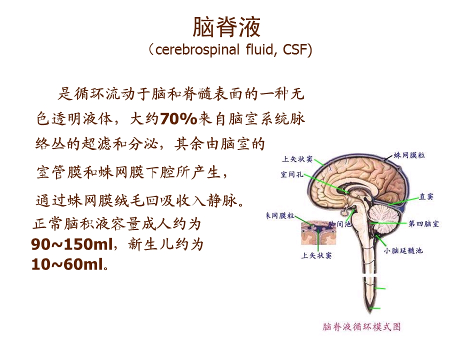 《脑脊液检测》PPT课件.ppt_第2页