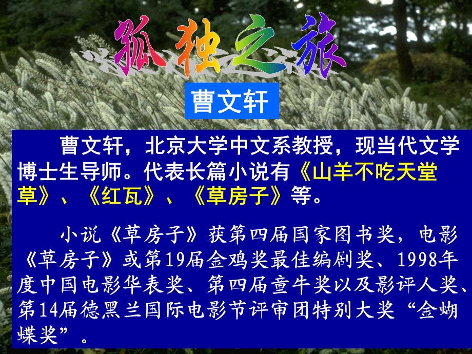 《孤独之旅用王》PPT课件.ppt_第1页