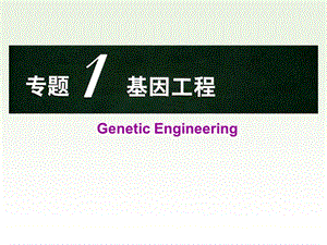 《fx基因工程》PPT课件.ppt