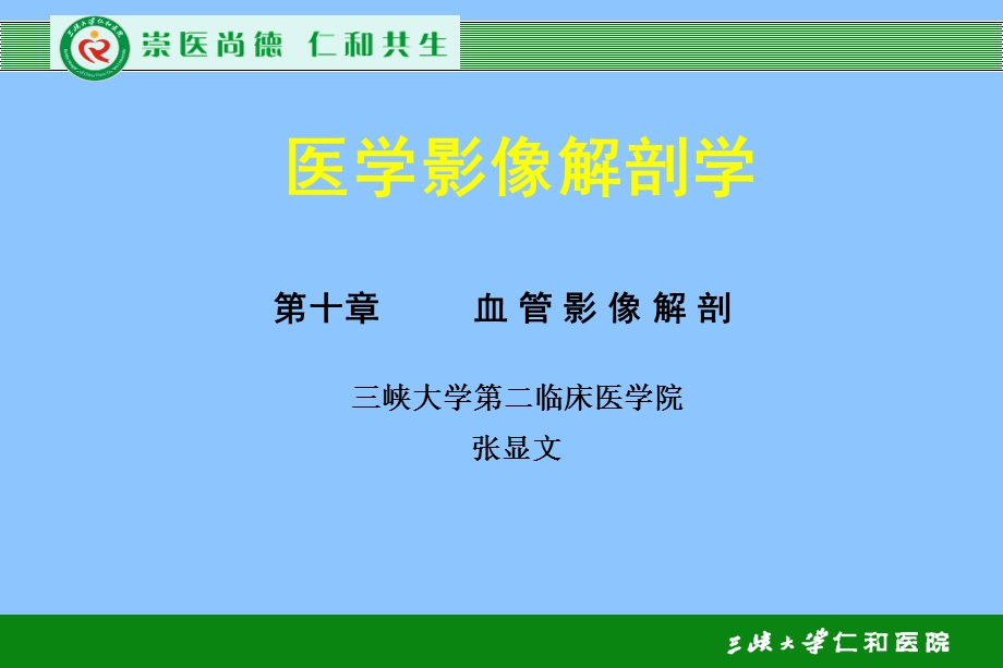 《血管解剖学》PPT课件.ppt_第1页