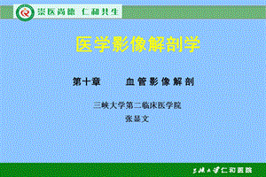 《血管解剖学》PPT课件.ppt