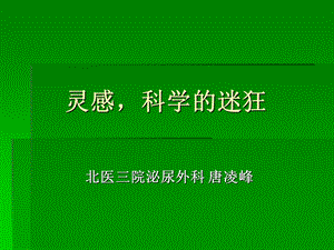 《灵感科学的迷狂》PPT课件.ppt