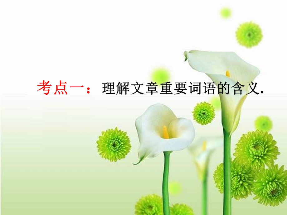 《重点词句题解》PPT课件.ppt_第1页