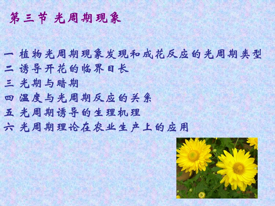 《光周期现象》PPT课件.ppt_第2页