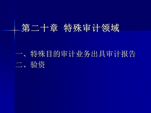 《特殊审计领域》PPT课件.ppt