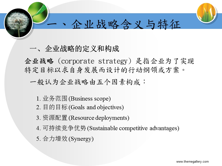 [企业管理]第五章 企业战略计划.ppt_第3页