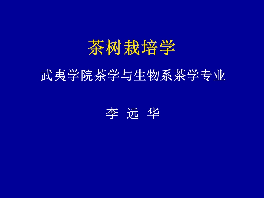 《茶园建立》PPT课件.ppt_第1页