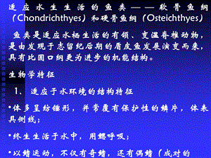 动物学11软骨鱼纲(Chondrichthyes)和硬骨鱼纲(Osteichthyes).ppt