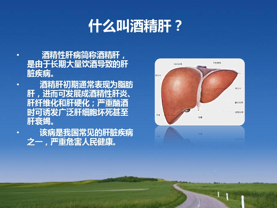 《酒精性肝病》PPT课件.ppt_第2页