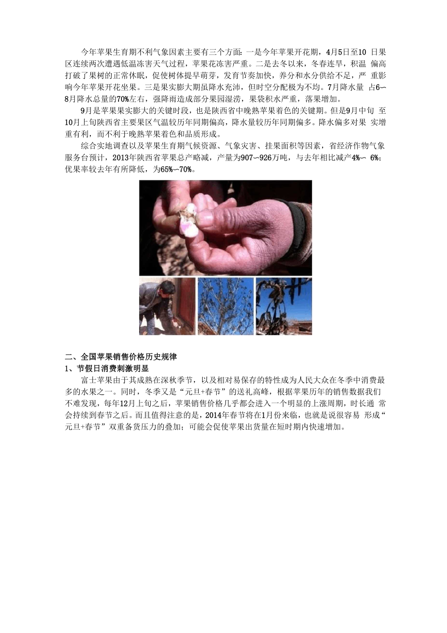 2013—2014年度富士苹果价格分析.docx_第2页