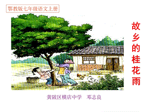 《故乡的桂花雨》PPT课件.ppt