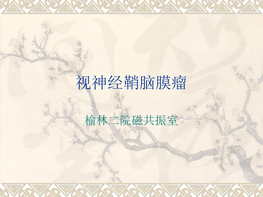 《视神经鞘脑膜瘤》PPT课件.ppt_第1页