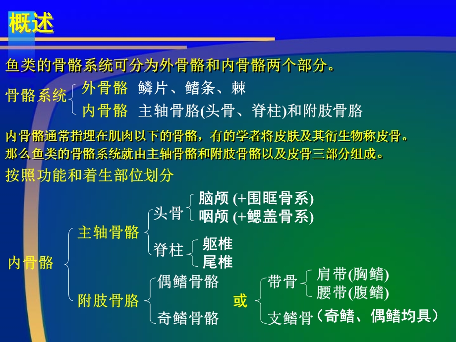 《鱼类骨骼系统》PPT课件.ppt_第3页