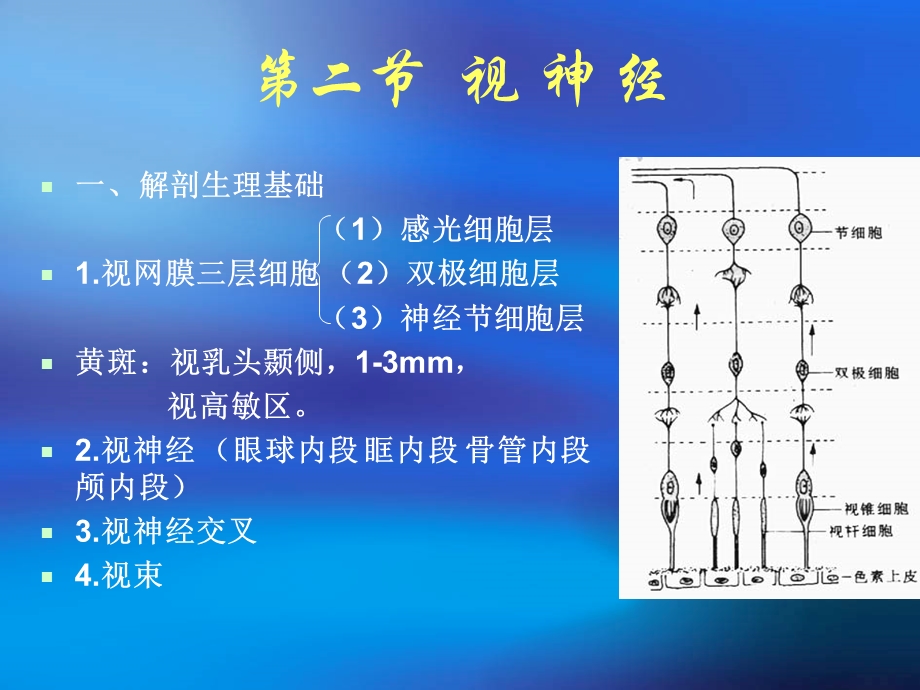 《颅神经的定位诊断》PPT课件.ppt_第3页