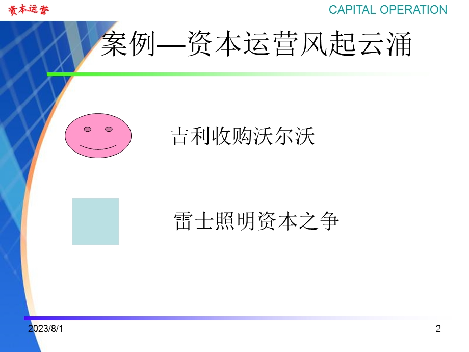 《资本运营概述》PPT课件.ppt_第2页