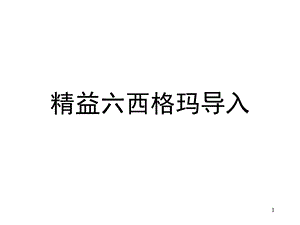 《精益六西格玛》PPT课件.ppt